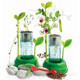 Clementoni Science & Game: Juego Científico de Botánica e Hidroponía para Cultivar Plantas Sin Tierra