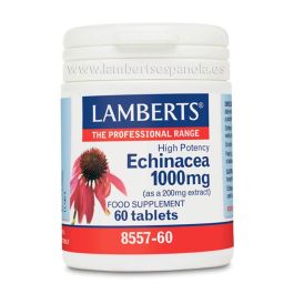 Equinácea 1.000 Mg Precio: 22.7900002. SKU: B1E3NP2R2B