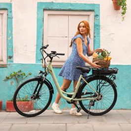 Bicicleta Eléctrica Cecotec Capital 250 W Verde