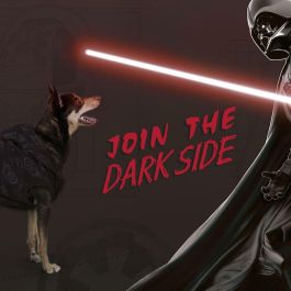 Star Wars Sudadera para Perro con Diseño de Darth Vader, Algodón Cepillado, Color Negro, Talla XXS