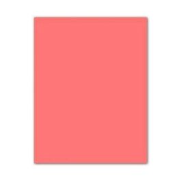 Iris Cartulina 50x65 cm Rosa Pálido 185 gr -25U-