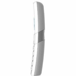 Alcatel F860 Teléfono Fijo Inalámbrico Gris con Bloqueo de Llamadas No Deseadas