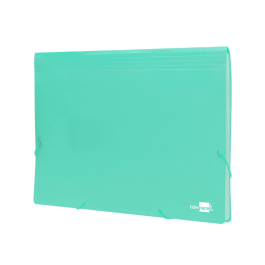 Liderpapel Carpeta Clasificador Fuelle Polipropileno DIN A4 Verde Opaco 13 Departamentos Cierre Gomas 2 Huecos Tarjetas Etiquetas Meses A-Z