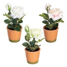 Planta Rosas 3/M Blanco-Rosa Artificial 13 X 13 X 28 cm Precio: 7.2116. SKU: B187HBA8G6