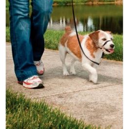 Petsafe Ronzal Easy Walk Pequeño para Perros | Arnés de Cabeza Anti-Tirones Evita Saltos y Tirones | Incluye Correa 1.8 Metros