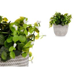 Planta Verde Flor Blanca Con Maceta Gris Ibergarden 20X20CM (8 Unidades) Planta Verde Flor Blanca Con Maceta Gris Ibergarden 20X20CM (8 Unidades)
