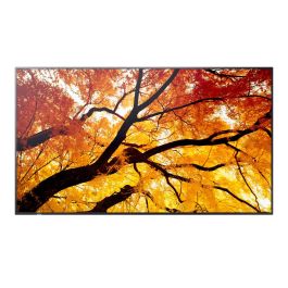 Monitor Videowall Sharp 60006052 Full HD 32"