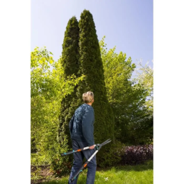 Gardena TeleCut Cortasetos Telescópico con Brazos de Aluminio y 25 cm de Longitud de Corte