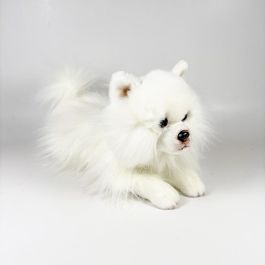 Peluche Pomerania Tumbado 25Cm 939D00294 Bocalan