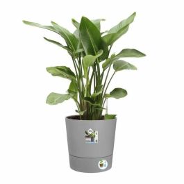 ELHO Greensense Aqua Care Round 43 Maceta - Cemento claro - Interior/exterior - Ø 43 x H 42,5 cm