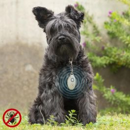 Antiparásitos por Ultrasonidos Recargable para Mascotas PetRep InnovaGoods Precio: 8.49999953. SKU: V0103219