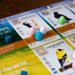 Devir Juego de Mesa Wingspan