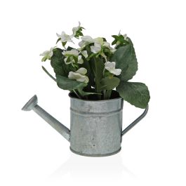 Planta Begonia VERSA en maceta 7.6x8.1x7.6 cm (6 Unidades) Precio: 30.89000046. SKU: B15JZS38SJ