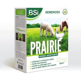 BSI BSI5420046644412 Semillas de Hierba Pradera de Alta Calidad para Jardín, Gran Superficie, 7,5 Kg (Cubre hasta 375 m²) Precio: 55.89000043. SKU: B1EPBZ9KSF