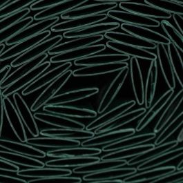 Nature NAT8711338532201 Pantalla de caña de PVC doble cara 1x3m 1600g/m² Opaca 4/5 Anti-UV Verde