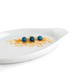 Quid Fuente Forma Pez Gastro Porcelana para Hostelería 32.5x15.5x2.5 cm Blanco Brillo Pack 6 Unidades