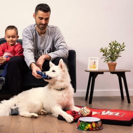 Cerdá Marvel Colchoneta para Perro Talla M Multicolor Cerdá Marvel Colchoneta para Perro Talla M Multicolor