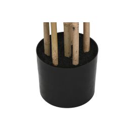 DKD Home Decor Planta Oriental de Bambú Verde Natural 210x50x50 cm (2 Unidades)