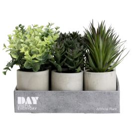 Day Planta Artificial 18cm Altura x 7.5cm Diámetro en Maceta de Cemento 9cm