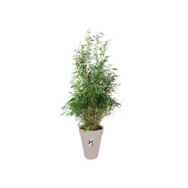 Maceta redonda ELHO Loft Urban Tall 42 - Gris - Ø 42 x H 56 cm - exterior Maceta redonda ELHO Loft Urban Tall 42 - Gris - Ø 42 x H 56 cm - exterior