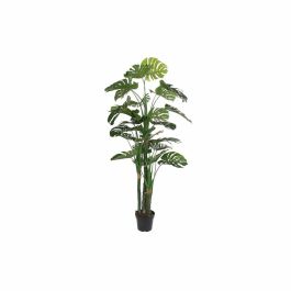 Planta Decorativa DKD Home Decor Polipropileno (PP) EVA (90 x 90 x 200 cm) Precio: 186.94999972. SKU: B1E4FNFXJ9