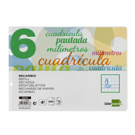 Liderpapel Recambio Cuarto Apaisado Pautaguía 100 Hojas 75gr Cuadriculado Pautado 6mm con Margen y 2 Taladros