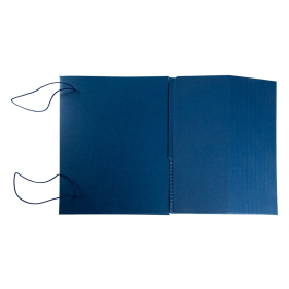 Liderpapel Carpeta Proyectos Extensible 0-11cm Folio Cartón Gofrado Colores Surtidos 250x330mm