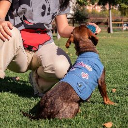 Chaqueta vaquera para perros m minnie talla m Chaqueta vaquera para perros m minnie talla m