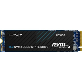PNY M280CS1030-500-RB SSD 500 GB M.2 2280