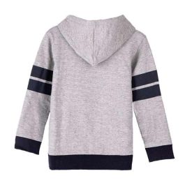Sudadera con Capucha Niño Harry Potter Gris 12 Años