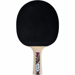 Schildkröt AUC4000885544251 Raqueta de Tenis de Mesa LEGENDS 800 FSC