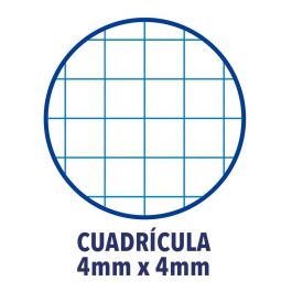 Enri Cuaderno Tapa Blanda Espiral DIN A5 Cuadriculado 4x4mm Colores Surtidos 15,5x21,5cm