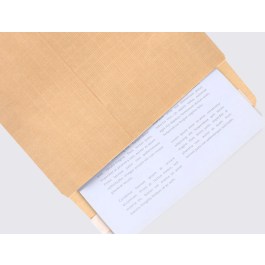 Liderpapel Bolsa Armado Kraft Envío Seguridad 260x360 mm Solapa Tira de Silicona 120 gr Caja 100 Unidades