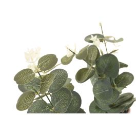 DKD Home Decor Planta de Eucalipto Decorativa de Cerámica Blanco Crema 12.5 x 36 x 12.5 cm (6 Unidades)
