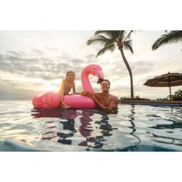 Figura Hinchable para Piscina Intex Flamingo (142 X 137 x 97 cm)