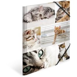 HERMA 19212 - Carpeta de cartón A4 para coleccionar con diseño de gatos, multicolor, 3 solapas, 1 pieza