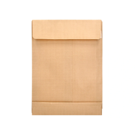 Liderpapel Bolsa Fuelle Kraft 280x365mm 120gr con Tira de Silicona Caja 50 Unidades