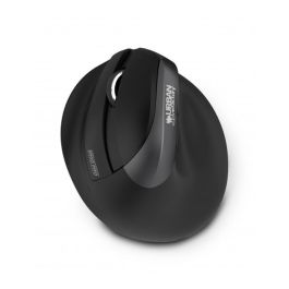 Ratón Ergonómico Óptico Urban Factory EPL20UF 4000 dpi Ratón Ergonómico Óptico Urban Factory EPL20UF 4000 dpi