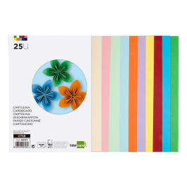 Liderpapel Cartulina 50x65 cm 180g/m2 Paquete de 25 Hojas Colores Surtidos