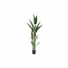 Planta Decorativa DKD Home Decor 75 x 75 x 180 cm Naranja Verde Amarillo Polipropileno Ave del paraíso Precio: 148.50000033. SKU: B1A9EXJVL2