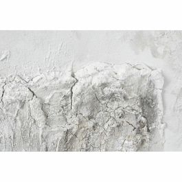 Cuadro Cottage DKD Home Decor Gris Beige 3.8 x 100 x 100 cm (2 Unidades) Cuadro Cottage DKD Home Decor Gris Beige 3.8 x 100 x 100 cm (2 Unidades)