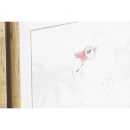 DKD Home Decor Cuadro Decorativo Tropical Cristal y MDF Blanco Gris Naranja Natural 70 x 50 x 3 cm (2 Unidades)