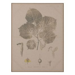 Cuadro Impresión Hojas 2/M Dm-Madera 60 X 3 X 80 cm