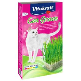 Vitakraft Hierba Gatos Cat-Grass 120gr para Eliminar Bolas de Pelo Precio: 4.6948. SKU: B1F8HDDBKN