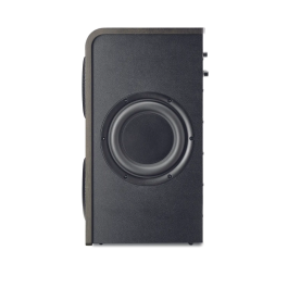 FOCAL Shape Twin Altavoz Monitor de Estudio Activo con Woofer de 6.5" y Tweeter de 1", 2 Vías, 100W RMS, Respuesta 38Hz-22kHz, Conectividad XLR/Jack/RCA, Negro