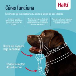 Bozal Company of Animals COBALT Azul 4