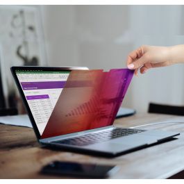 Armario Rack Mural Startech 162MG-PRIVACY-SCREEN