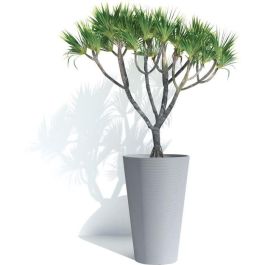 Garden Id 02041529 Maceta alta Green Care Sense Tall azul piedra 55 cm, 10 años garantía, 100% reciclado, UV y heladas. Garden Id 02041529 Maceta alta Green Care Sense Tall azul piedra 55 cm, 10 años garantía, 100% reciclado, UV y heladas.