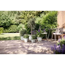 Elho ELH8711904535148 Maceta Amiga Round 30 Blanca L 30 x A 29,5 x A 22 cm Exterior 100% Reciclada