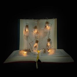 BLUE SKY STUDIOS Guirnalda Luces LED Harry Potter Pociones 10 Botellas 1.65m